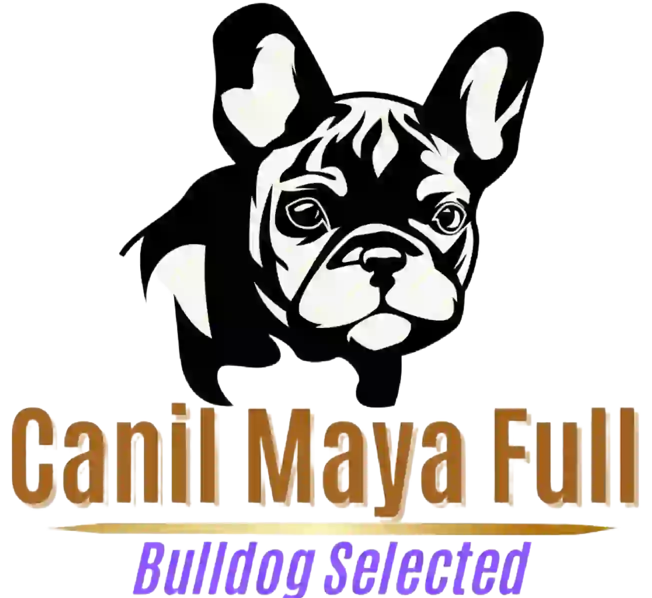 pic-logomarca-canil-maya-novo