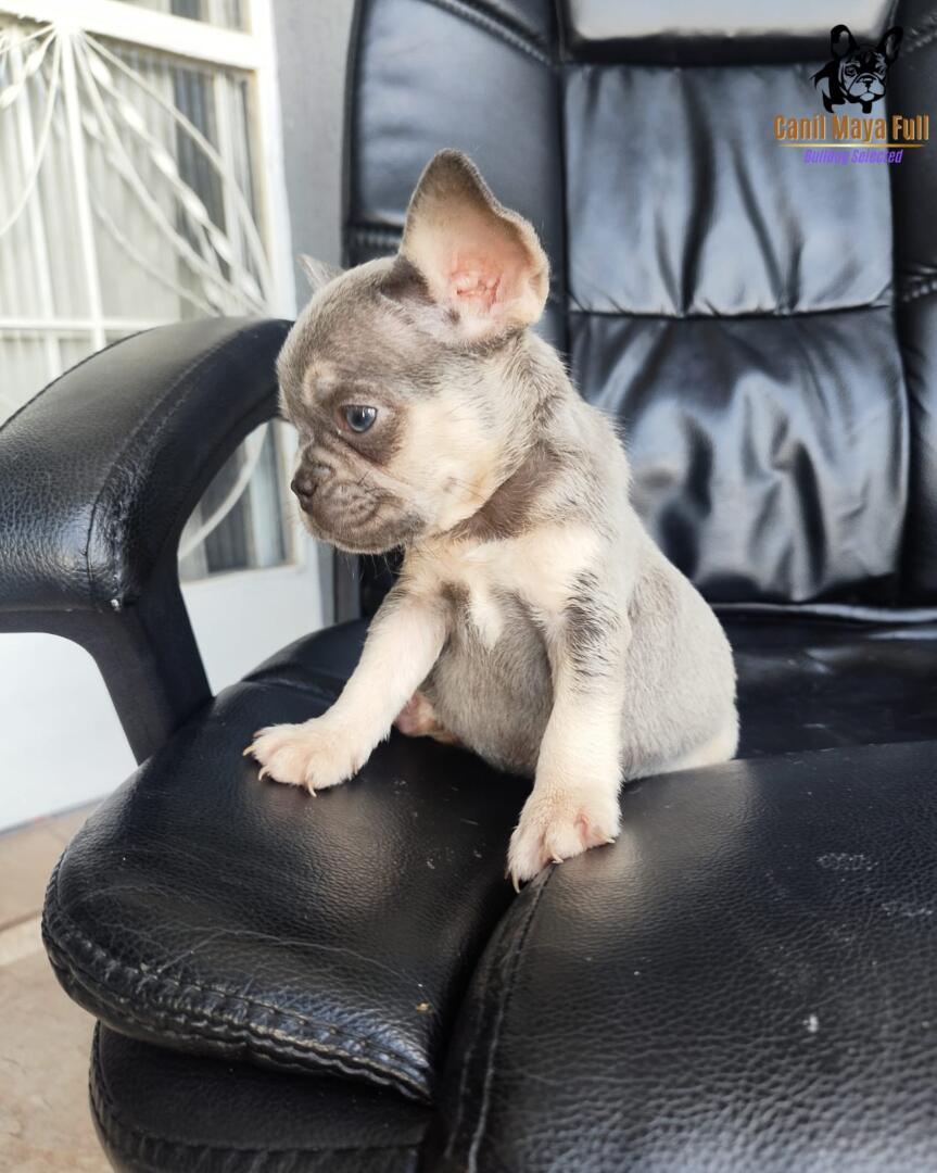 00f6b2e4-78d6-4619-ac06-5d62665bce27