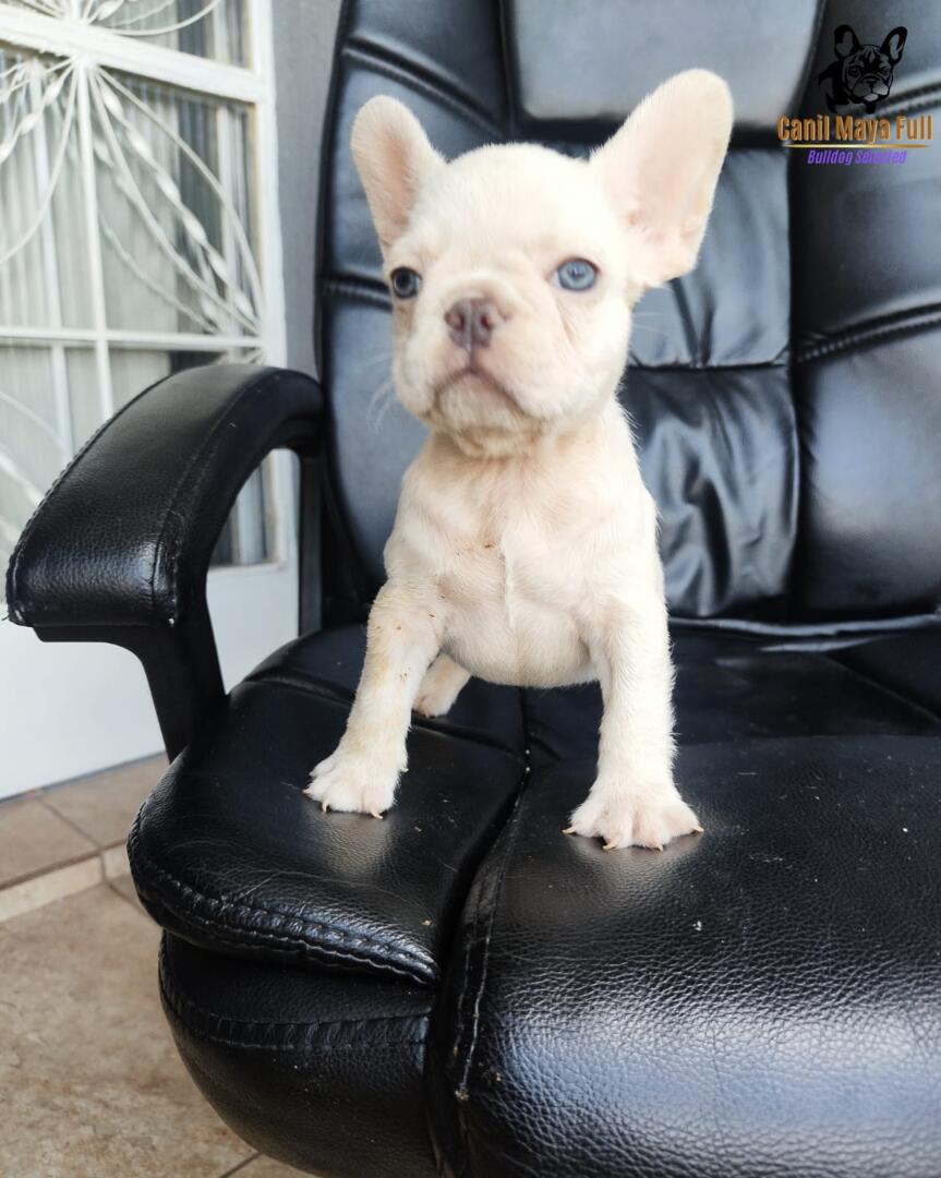 236cc7c1-fa85-4ce0-b3c3-aebbe0f443a6