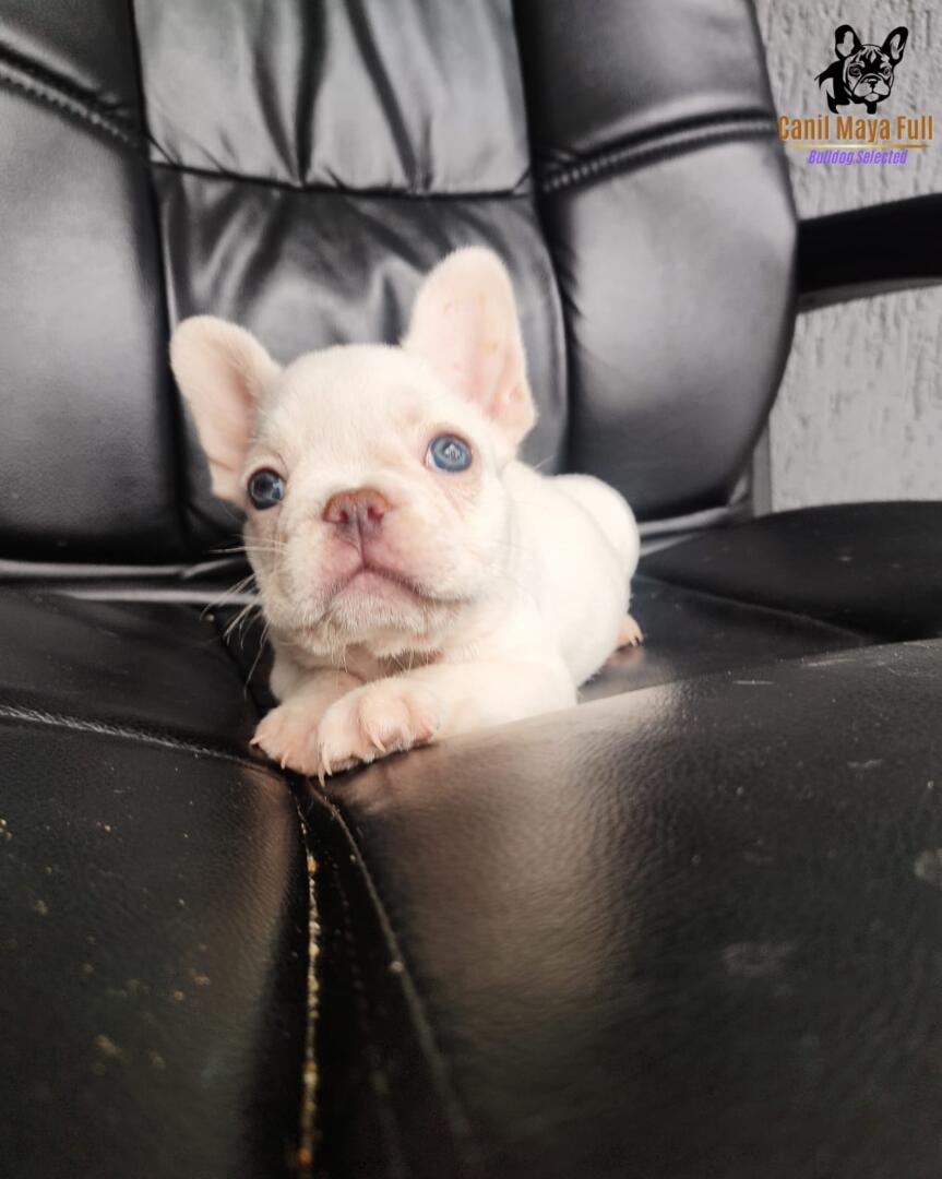 3cb0c42c-cebc-4f29-9eed-95d32e4c8d32