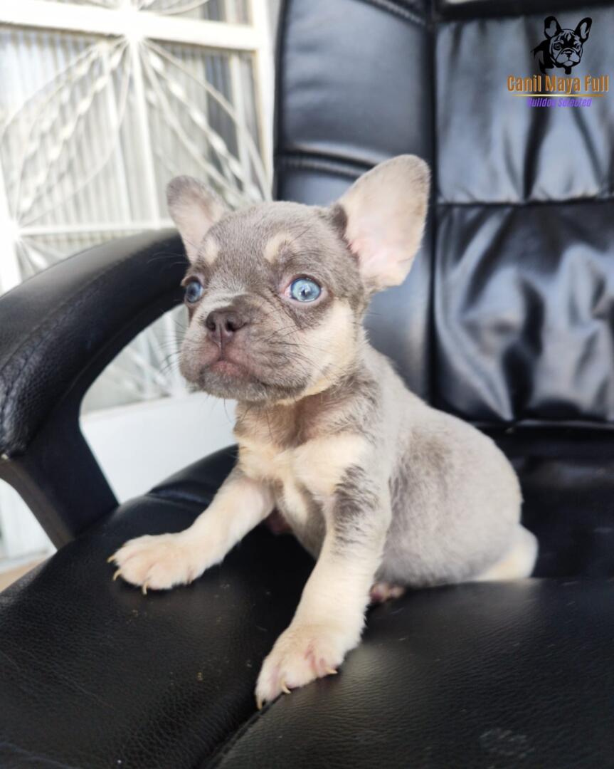 4e29492b-f65a-4399-a207-4bed8254a4e3