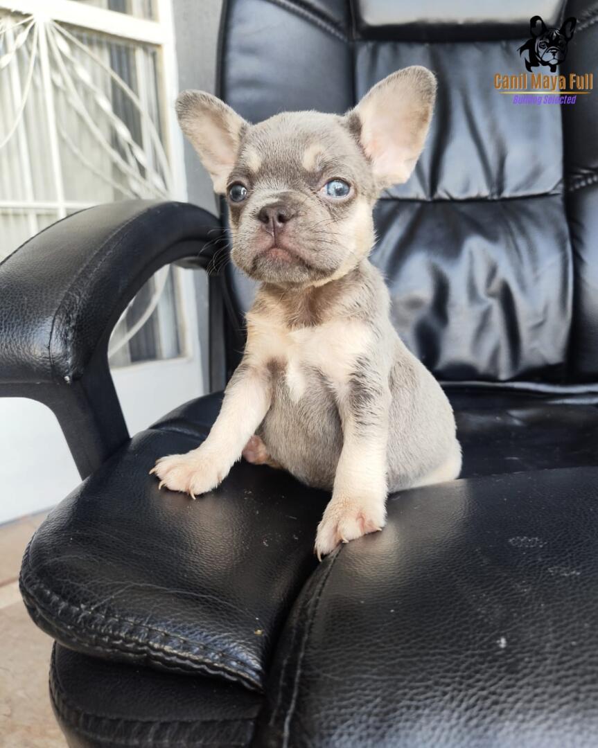 88a86905-6590-4ca1-870b-a96f4e39c292