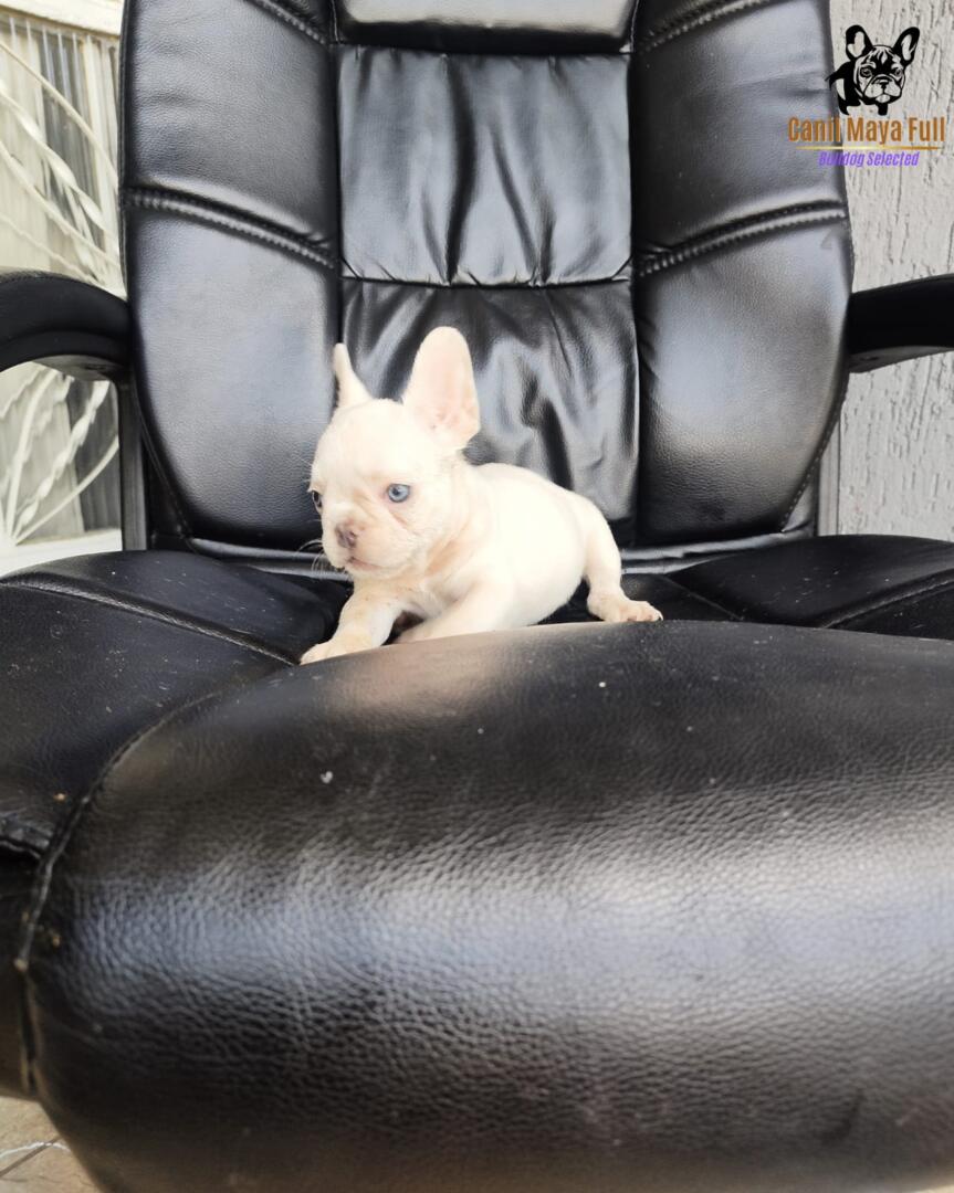 9db84b39-f5b4-4956-aed4-a1f010c18259