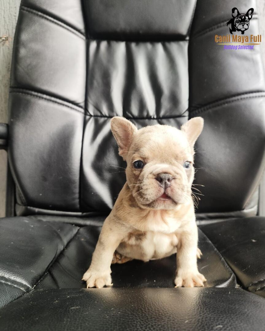 041c9cc5-5f52-4c90-9ddc-f69c802f71a3