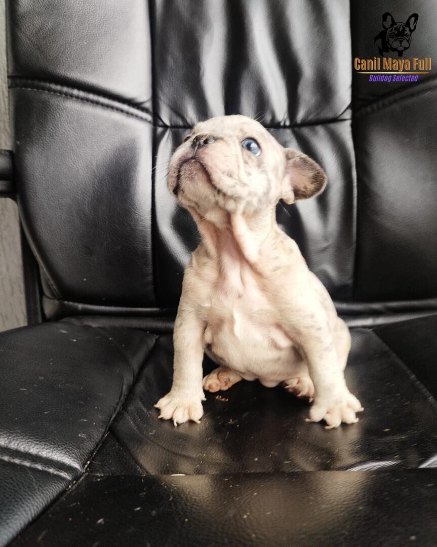 2514cb48-6f5f-490f-9f5f-53fc00232e4c