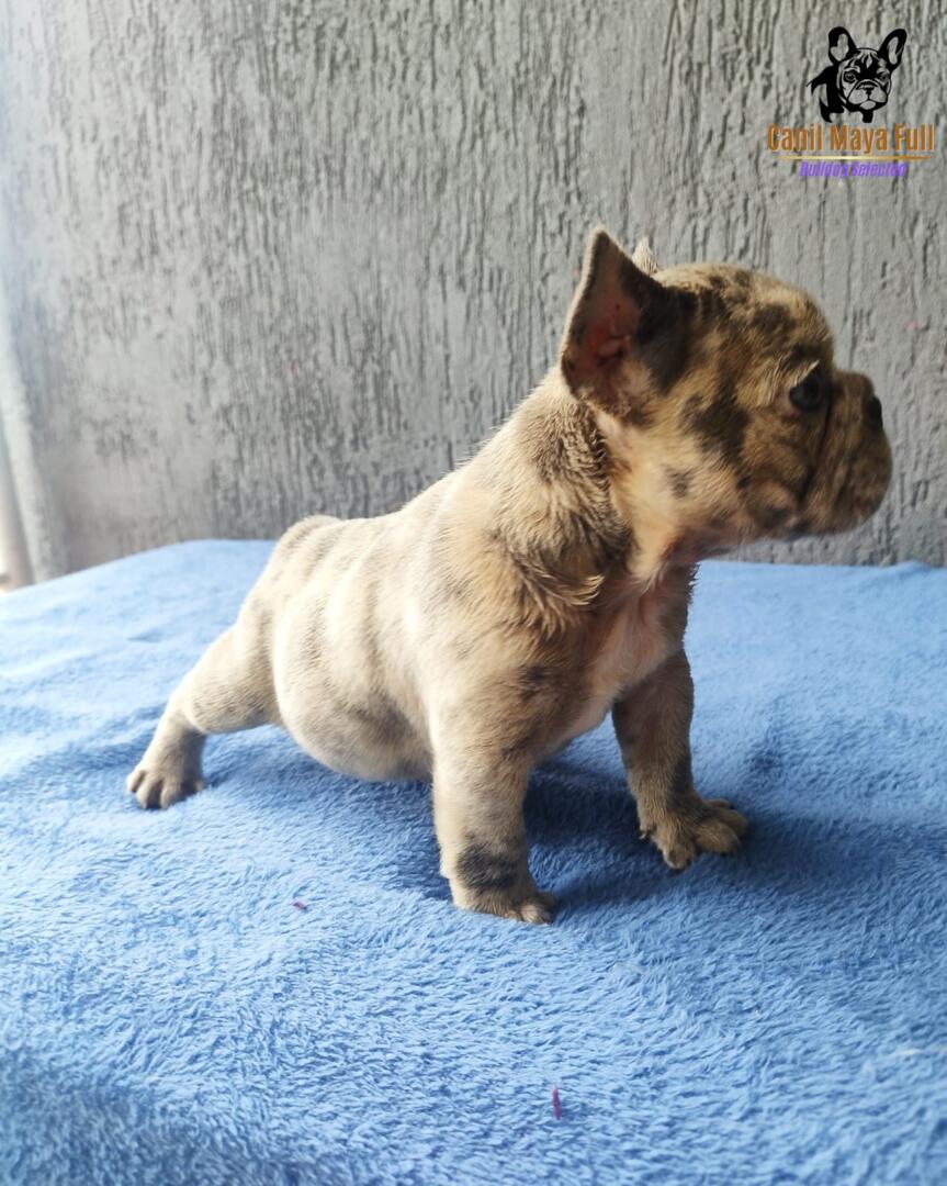 33938bf9-43f4-499a-ac93-35aedf6414aa