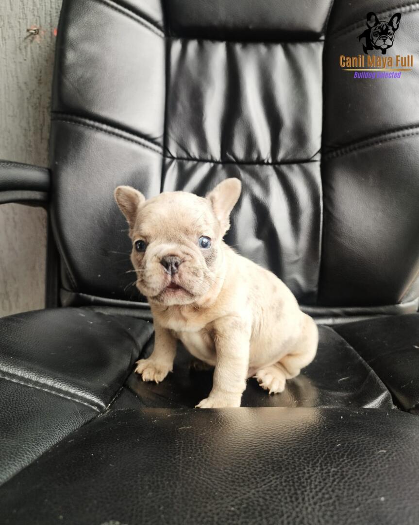 543ddf1e-832d-4880-980e-22ccd6ff0882