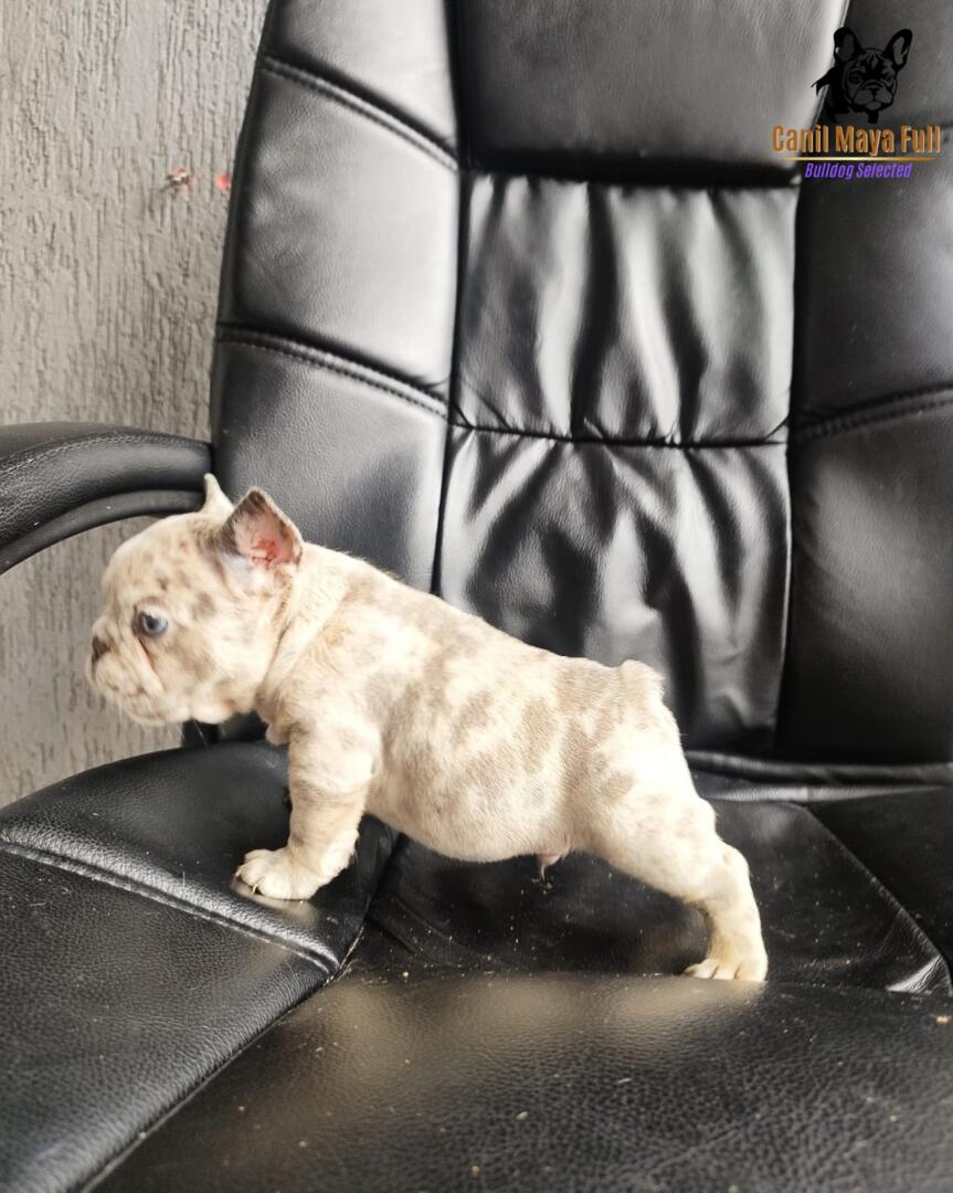 5cd473e9-054b-4e3d-a720-2d90731fa86d