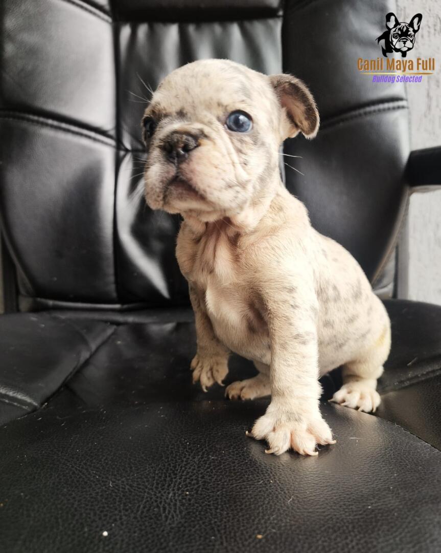 7fb10cc1-53b9-4c71-ad2a-716f24b70b7a