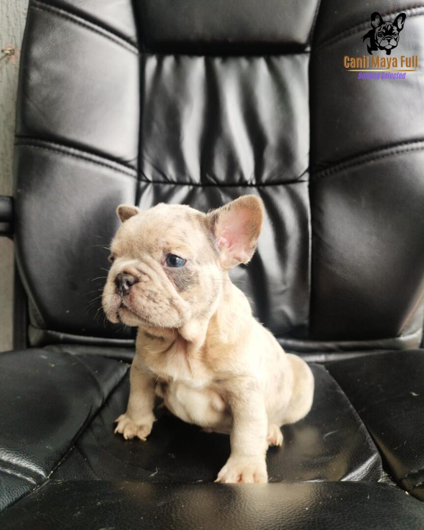 92d86d08-47e2-474f-bca5-f49bc5a16e64