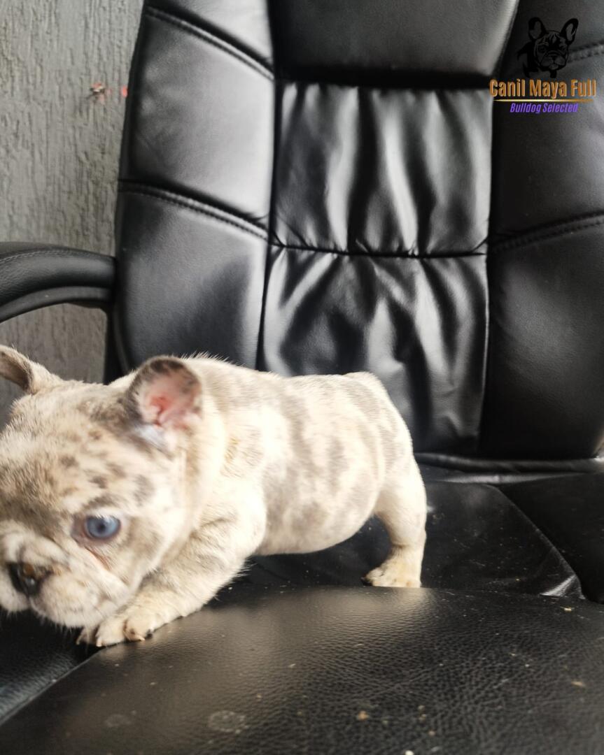 9428bcb1-25b3-4743-883c-6c8e8ba6d204