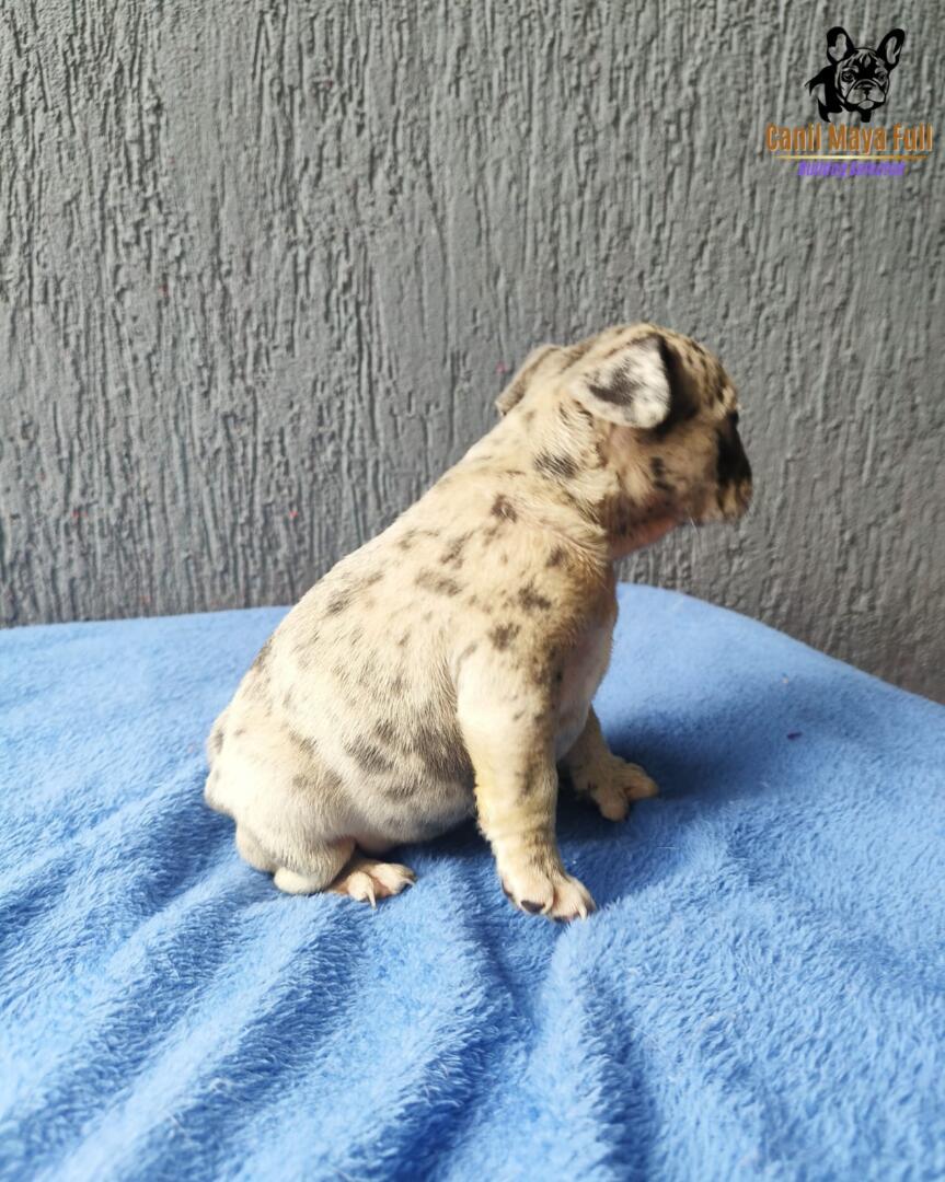 9a550fb1-3c76-4169-9875-6c558c26e73b