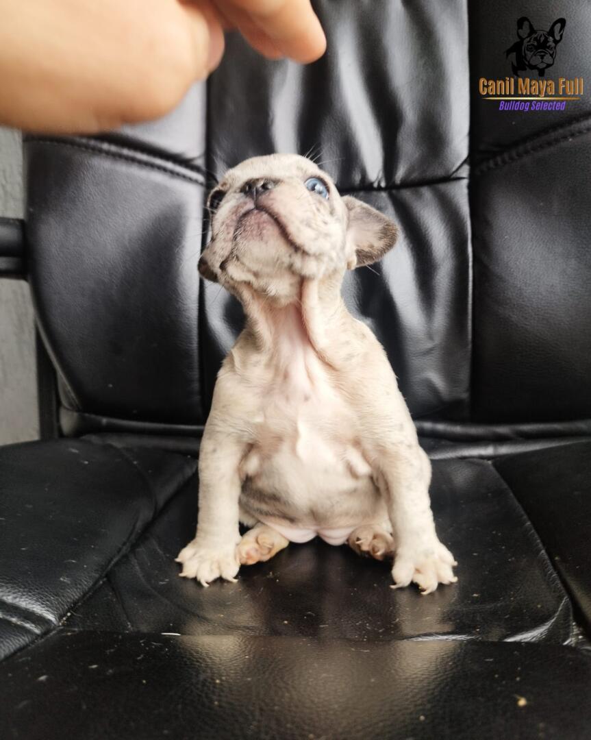 aad6ea0d-aa70-49cd-a88b-87039862c241