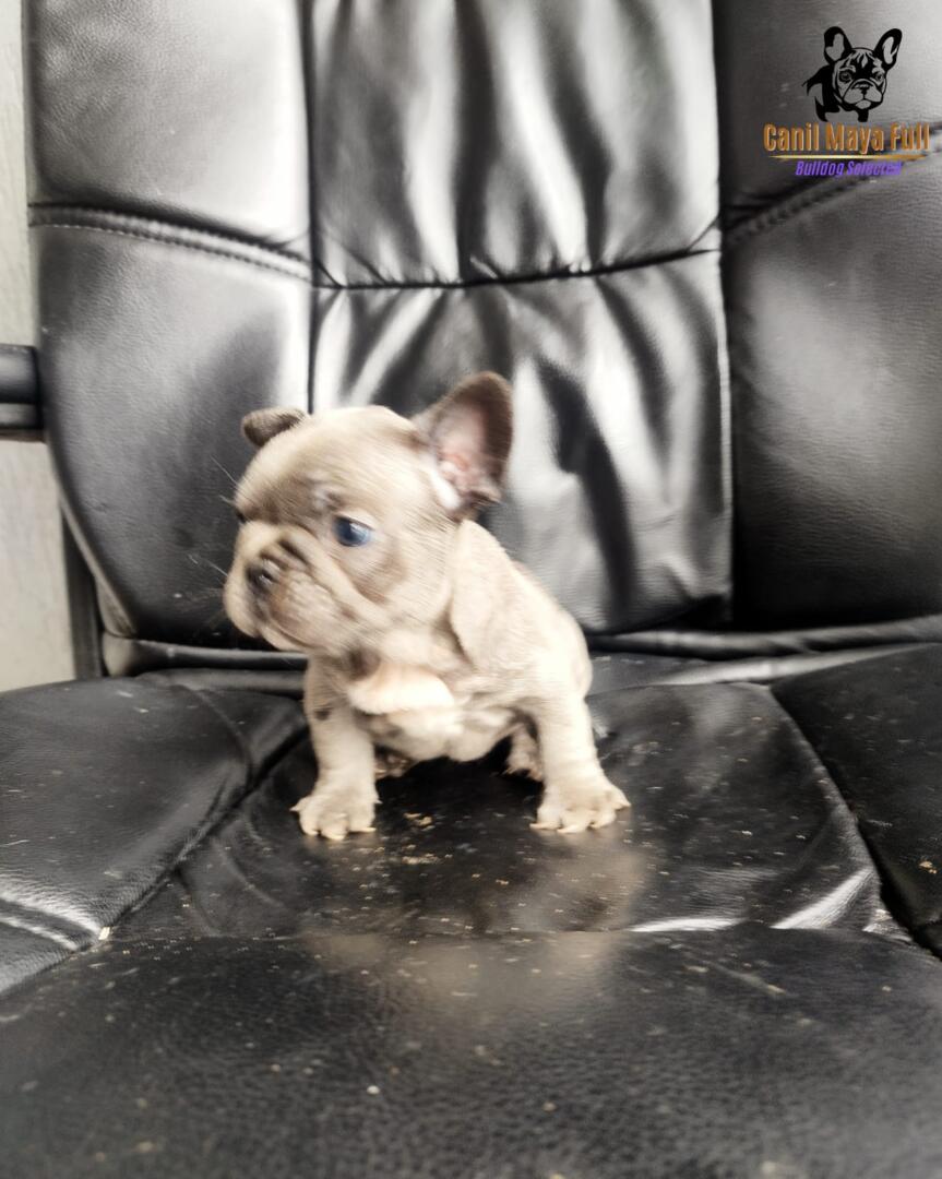 b1832058-f91c-4108-9703-992ef9f56530