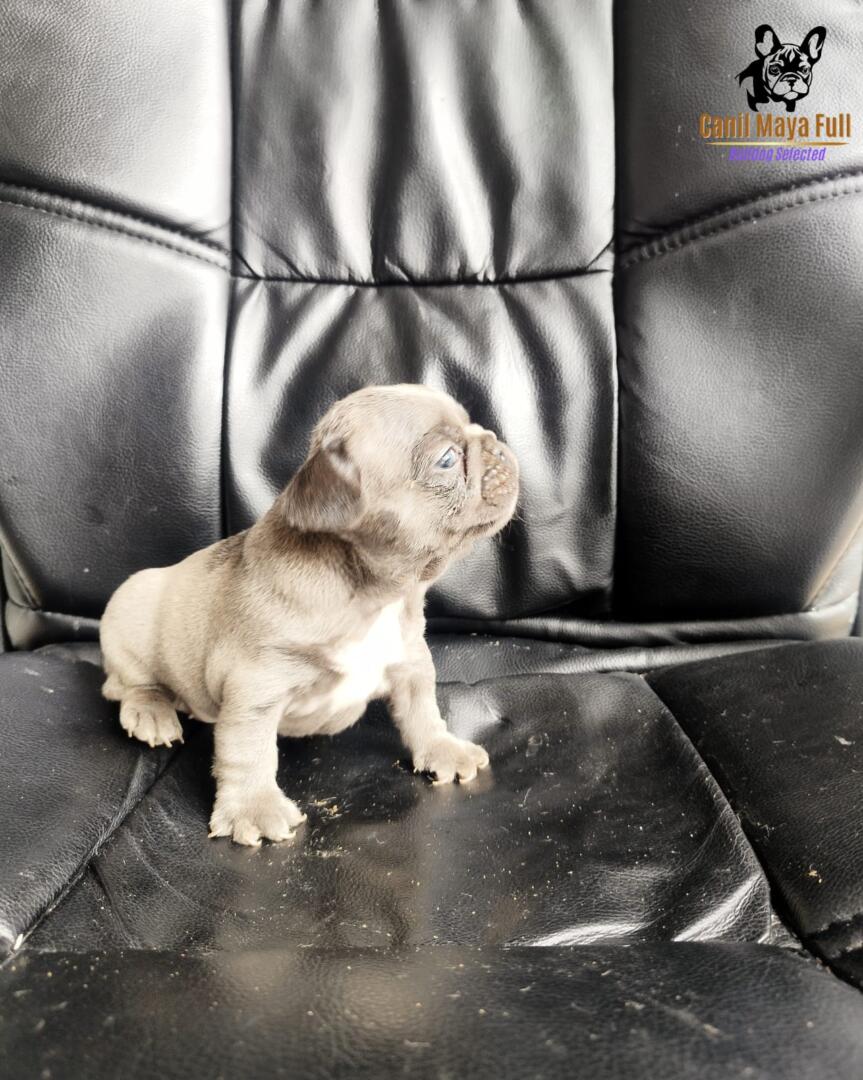 b9f48712-4c6f-4bc7-b31b-5cc4c0166de0