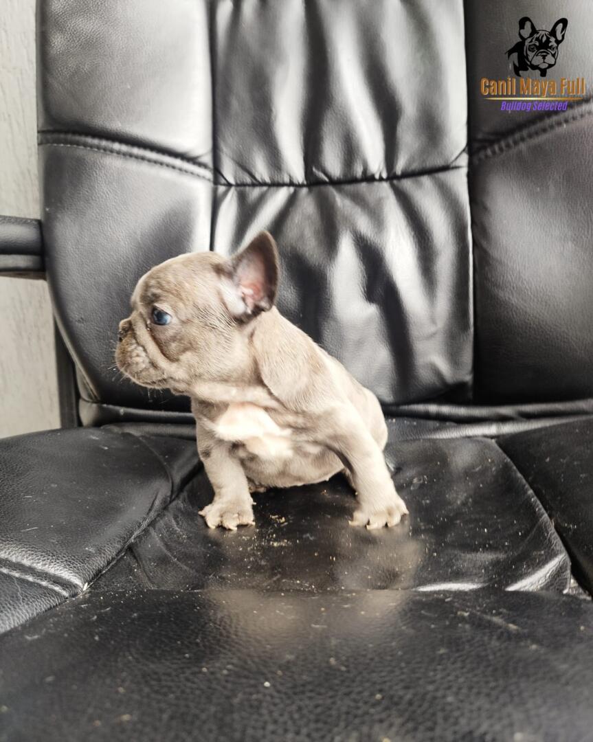 c0880739-98e0-4b17-b044-e7608f8e1202