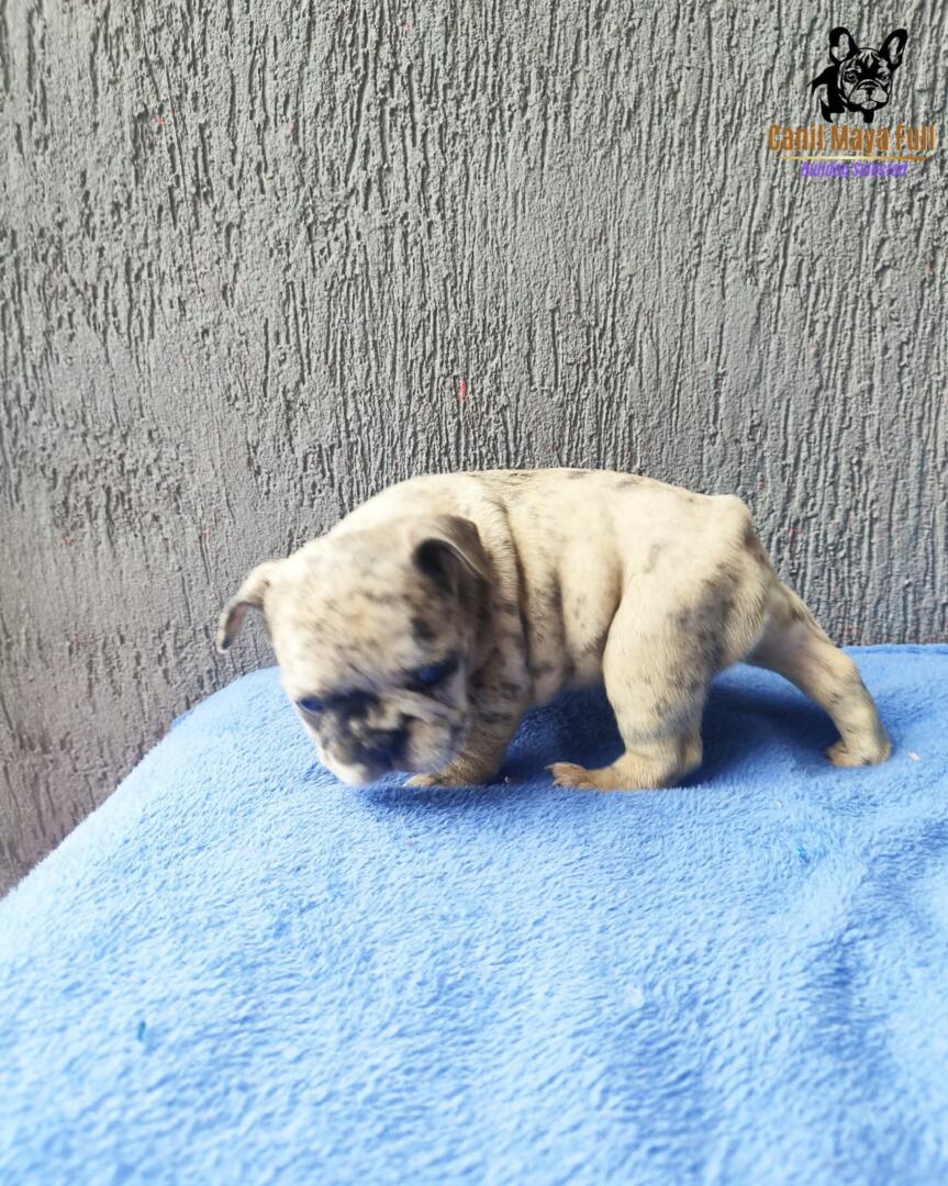 c42857d3-9044-4357-87fb-4f41af9b7179