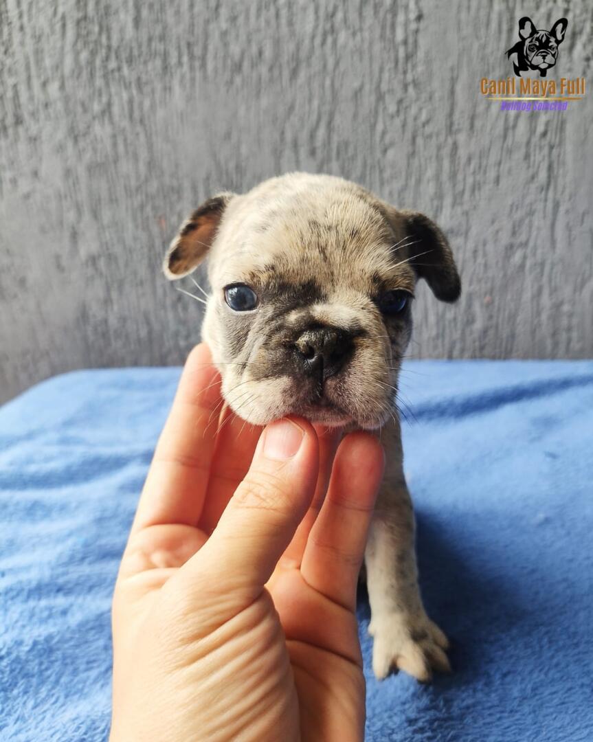 c6f4ebc4-9e21-4fea-a83c-cf1bd6915d65