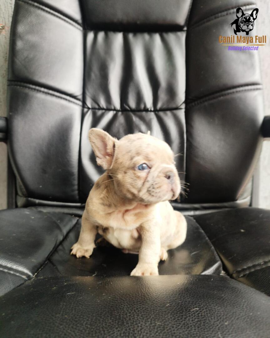 c896b9eb-2dfe-49ce-8707-9693e66d5da5