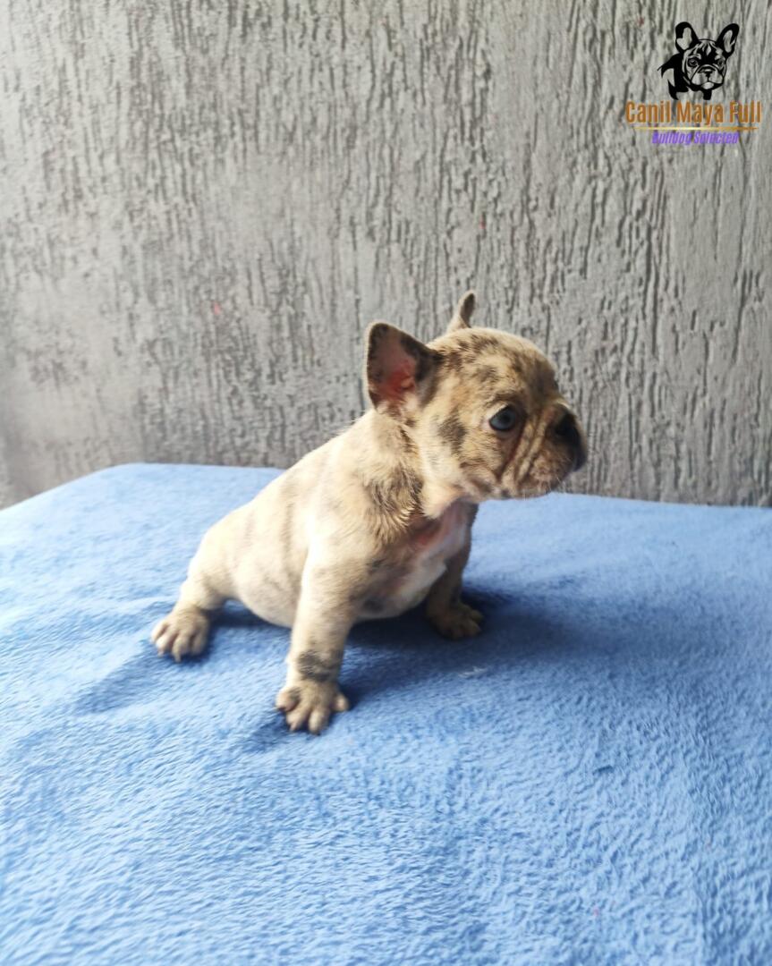 d092cb9e-a7c3-475a-a701-ae76a67baaf3