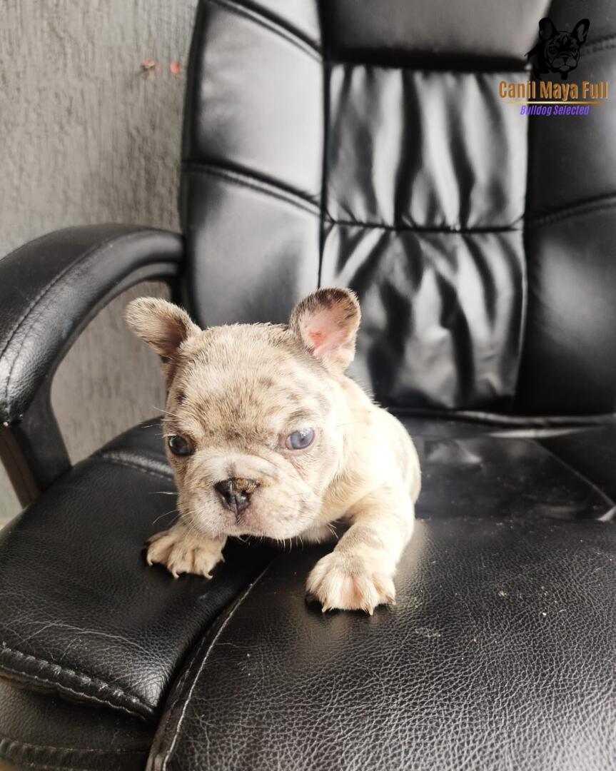 d9fa3c54-45c8-4b69-b62c-896d674fe74a