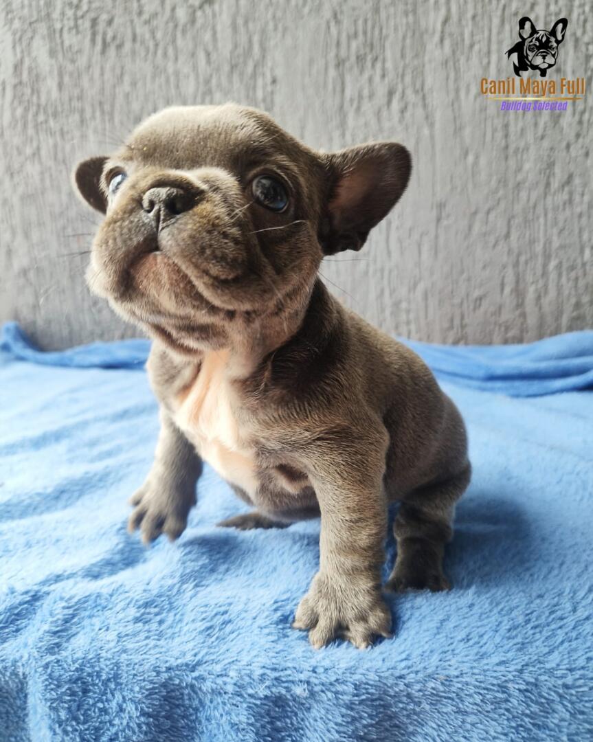 f1d60bce-9e88-407f-bf42-6c1d1ab91344